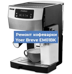 Замена прокладок на кофемашине Yoer Breve EM01BK в Перми